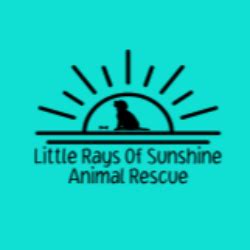 Little Rays of Sunshine Animal Rescue &183; April 15, 2021 &183; April 15, 2021 &183;. . Little rays of sunshine animal rescue